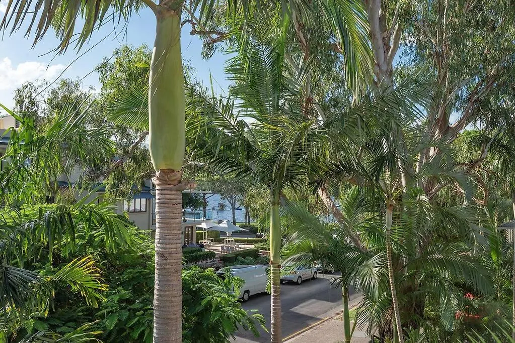 Noosa River Resort Apartment On Gympie Terrace Noosaville